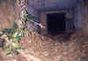 smthtunl.JPG (54344 bytes)