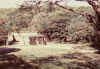 way2.jpg (120512 bytes)