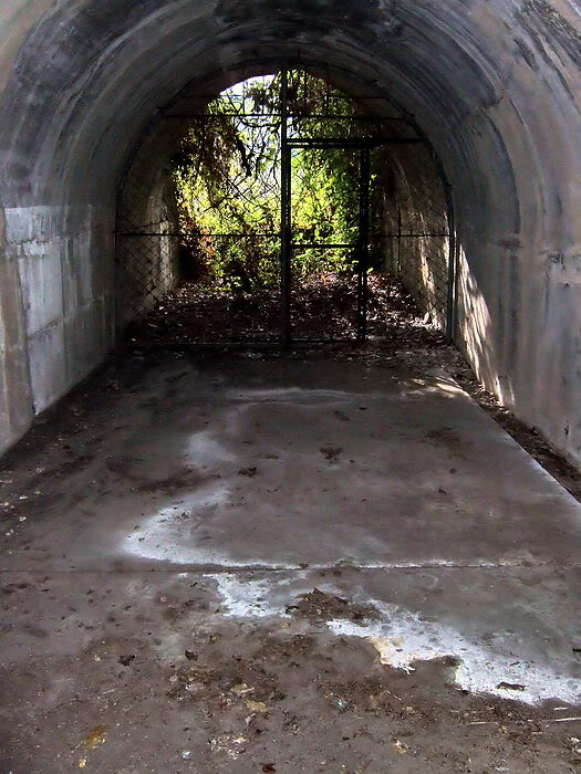 Malinta Gasoline Tunnel