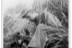 Dufault_00